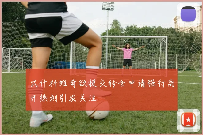 武什科维奇欲提交转会申请强行离开热刺引发关注