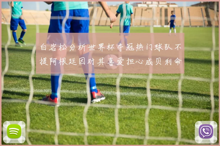 白岩松分析世界杯夺冠热门球队不提阿根廷因对其喜爱担心成贝利命运