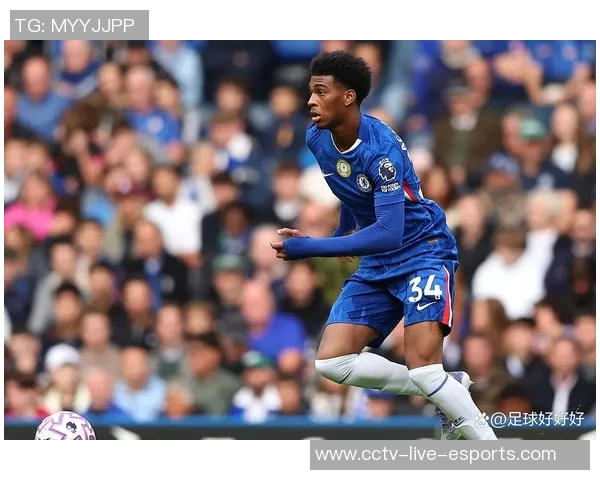 马雷斯卡激情庆祝引发车迷热爱让人回忆起穆帅的辉煌时刻